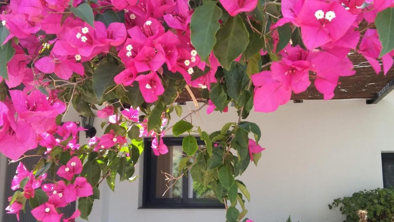 B&B Casa Domingo 알로라 외부 사진